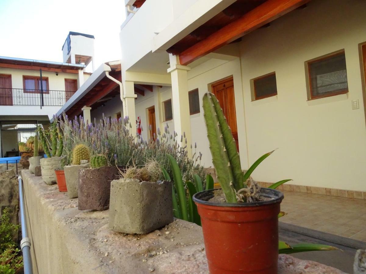 Hôtel Casa Cactus Cafayate Extérieur photo