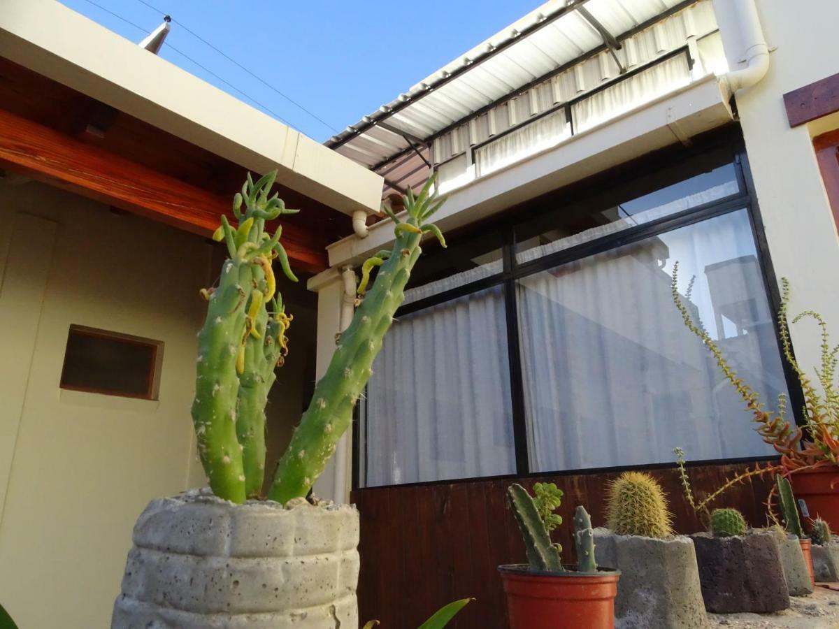 Hôtel Casa Cactus Cafayate Extérieur photo